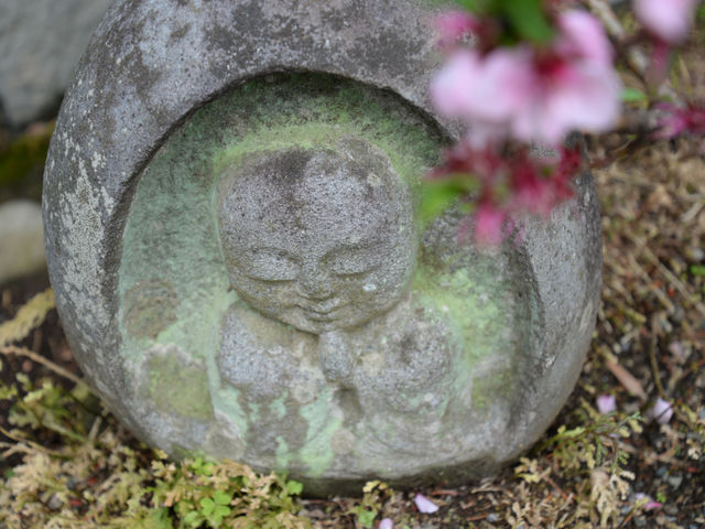 祥龍山金剛寺