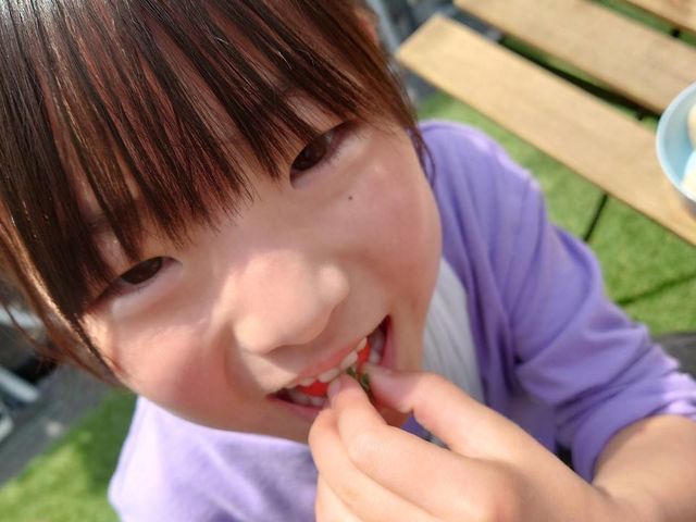 ベリーパーク京都ひよし山の家