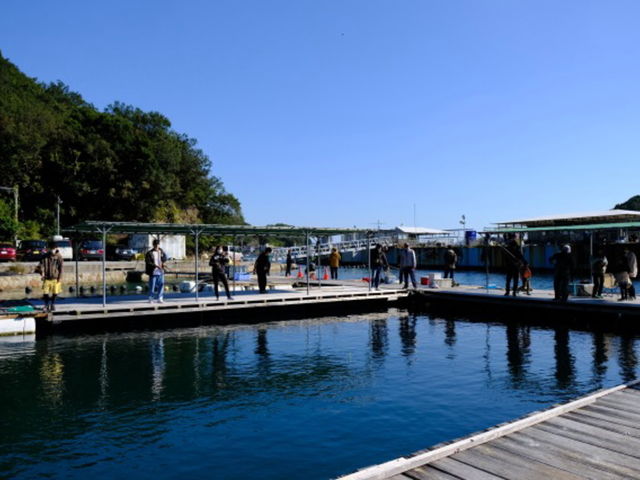手ぶら体験コースの様子_釣り公園 佐助屋