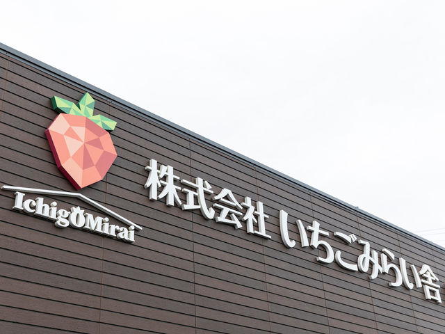 \2023年オープン/_越谷いちごみらい園