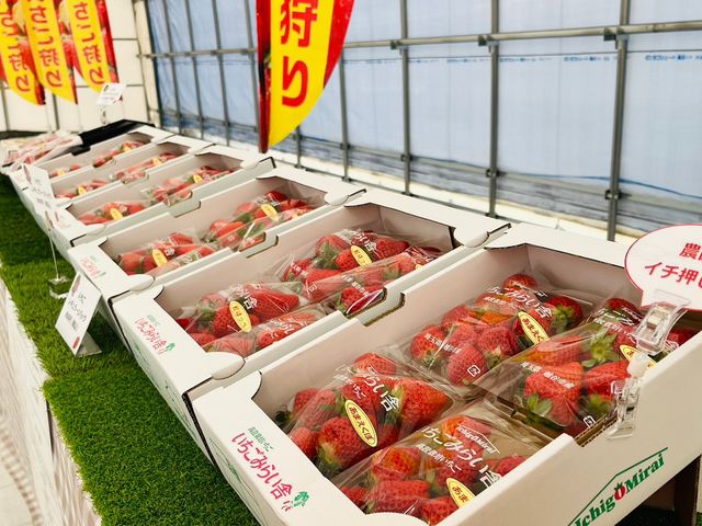 直売所もあるよ!_越谷いちごみらい園