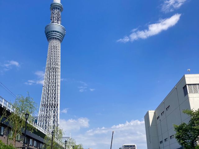 東京ミズマチ沿いの遊歩道と北十間川 _月乃舟