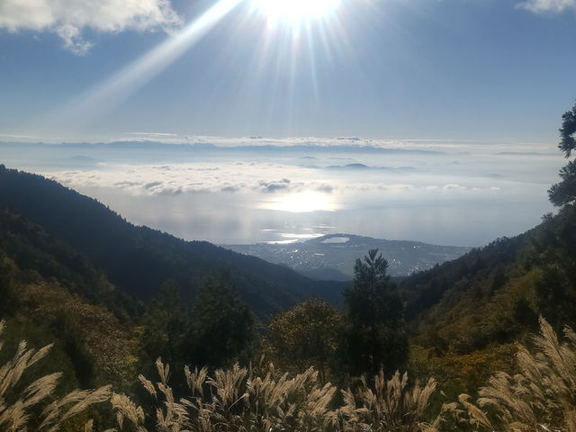 フィールドは、びわ湖に添うように連なる山の麓です。_yurunature