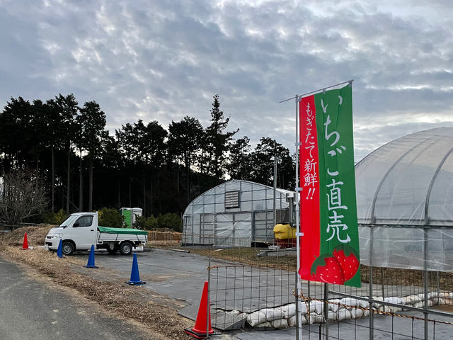いちごの直売もしてます_MoonLightFarm