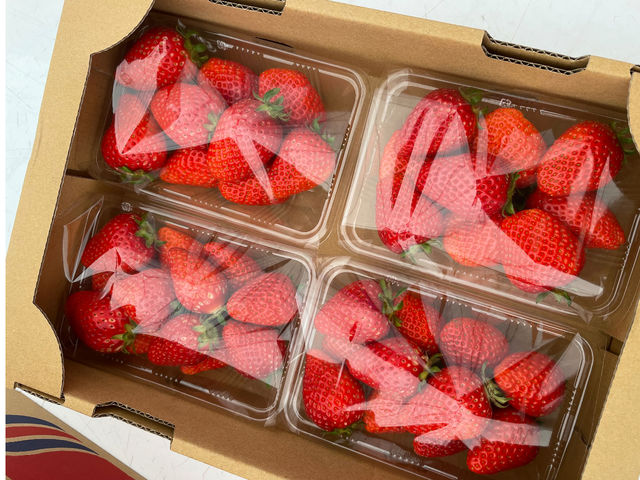 お土産にいかがですか?_MoonLightFarm