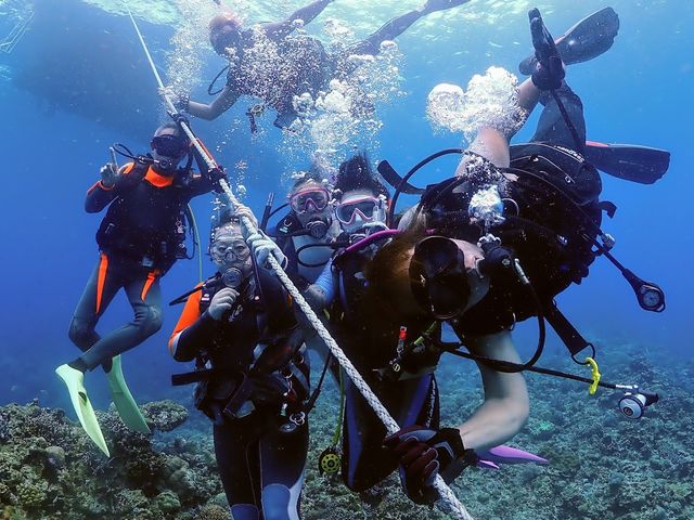 Okinawa Show Marine