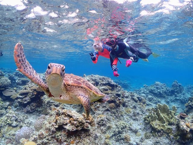 Okinawa Show Marine