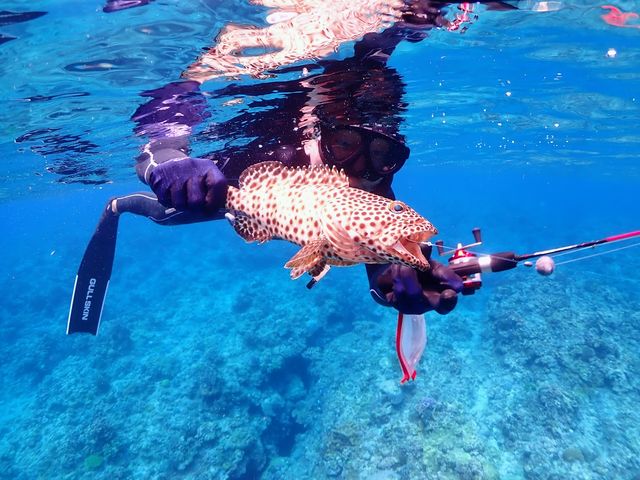 Okinawa Show Marine