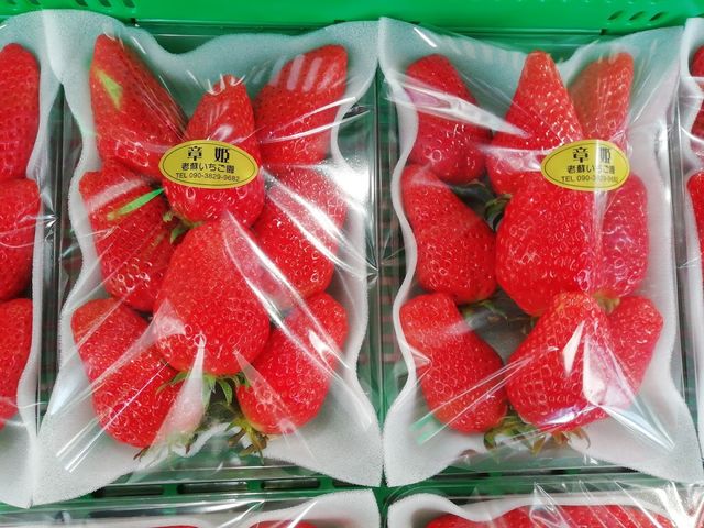 老蘇いちご園