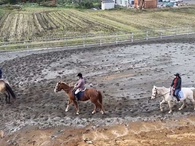 馬場からの見晴らしも最高!_UMAyaカントリーファーム