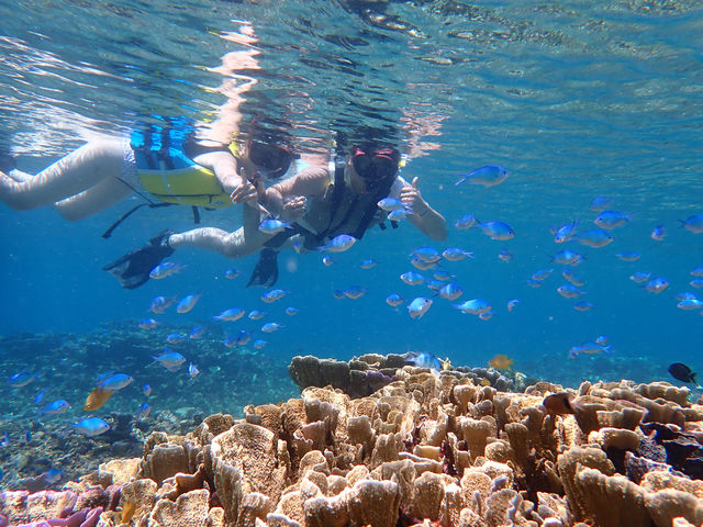 海の中はまさに天然の水族館♪
ガイドが極上のスポットにお連れ致します!_いんざにつ宮古島