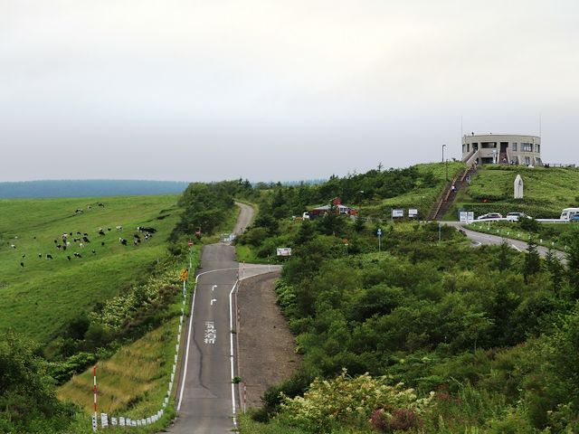 開陽台の周辺には牧場が広がっています。_開陽台ツアーズ(一般社団法人なかしべつ観光協会)
