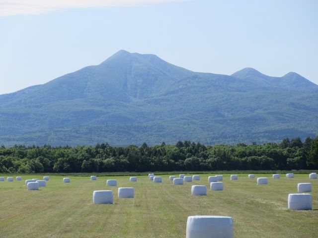牧草ロールが広がる風景も素敵です。_開陽台ツアーズ(一般社団法人なかしべつ観光協会)