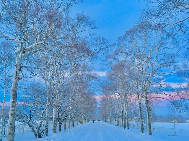 雪に覆われた風景もまた、素敵なんです!_開陽台ツアーズ(一般社団法人なかしべつ観光協会)