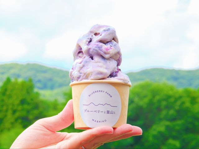 ブルーベリーがゴロゴロ入った大人気ブルーベリーアイス。是非1度食べてみてください。_ブルーベリーと里山と