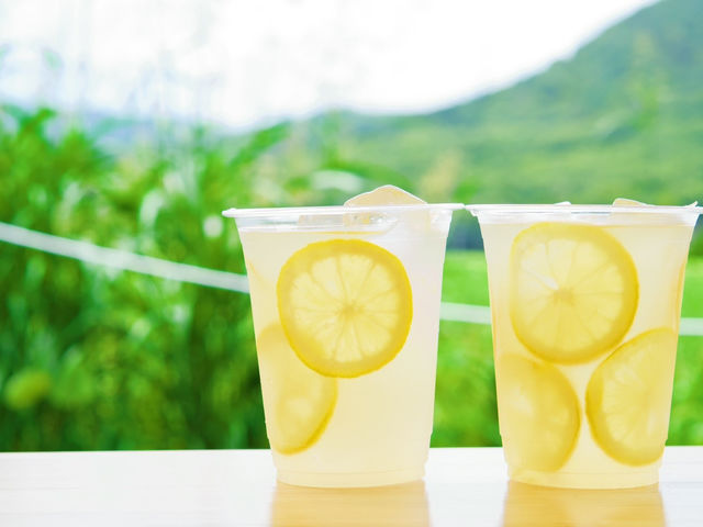 摘み取りのお客様には、自家製レモネードを無料でお一人1杯ご提供させていただきます。_ブルーベリーと里山と