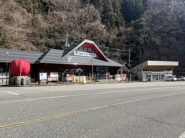 道の駅はが