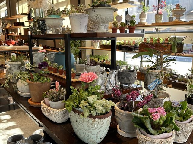 店舗には漆器だけではなく、かわいい苗などたくさんの植物も並んでいます。寄せ植えもいたします。_工房静寛