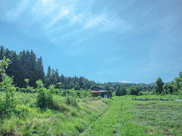 まえむき。FARM