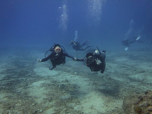RainbowDivers