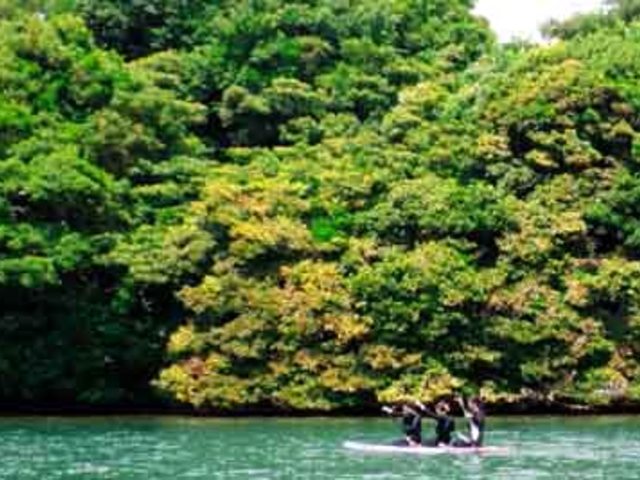 万葉の島、机磨き上げプロジェクト実行委員会