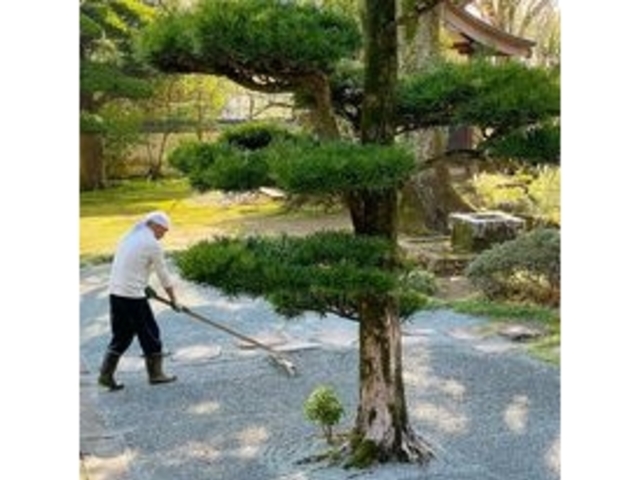 枯山水つくりを体験してみませんか。_上関山 極楽寺