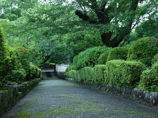 参道_上関山 極楽寺