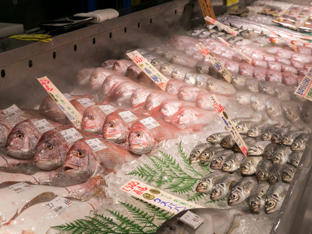 魚太郎 可児店
