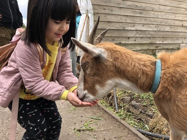 富士山ワイルドアドベンチャー