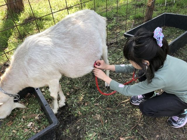 富士山ワイルドアドベンチャー