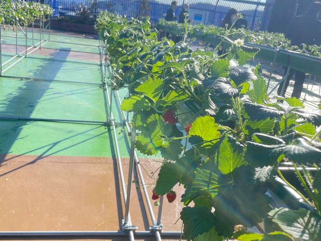 明城ファーム西武福井店