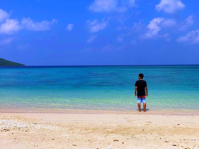 石垣島・八重山の乱さんと行く街さんぽ!_島のじかん