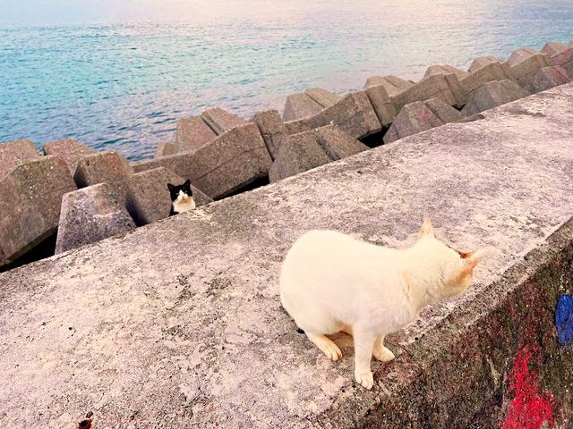 島のじかん|乱さんぽ_島のじかん