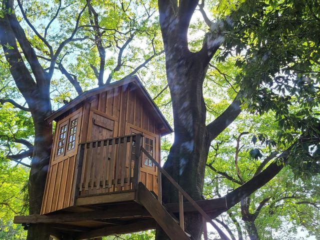 収穫体験後はツリーハウスの下でBBQをどうぞ。_ジャングルデリバリー
