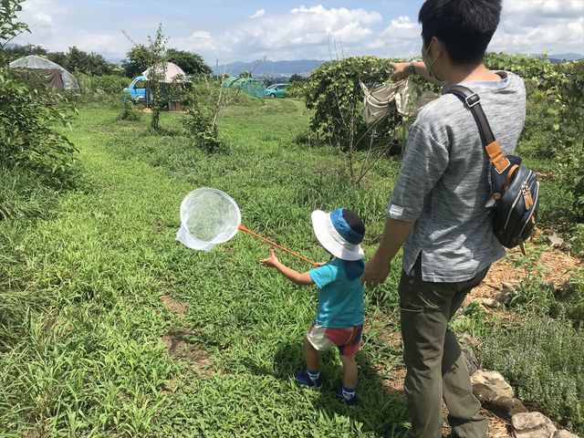 虫取りに夢中!_ブルーベリーの森 あづみの