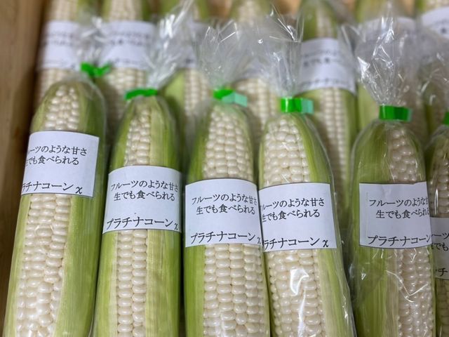 ブルーベリー農園 ふっこりーな