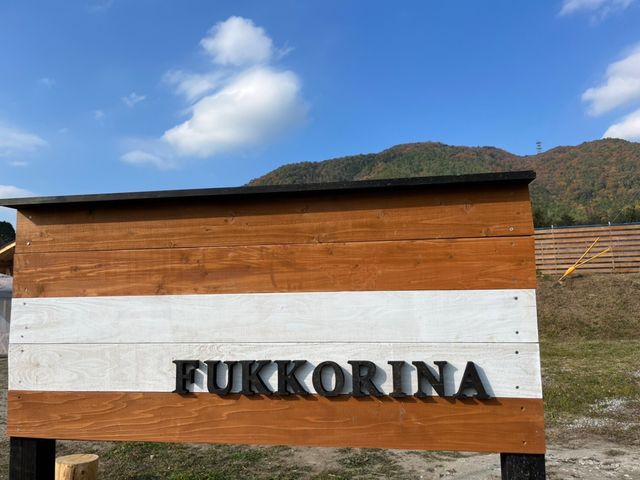 ブルーベリー農園 ふっこりーな