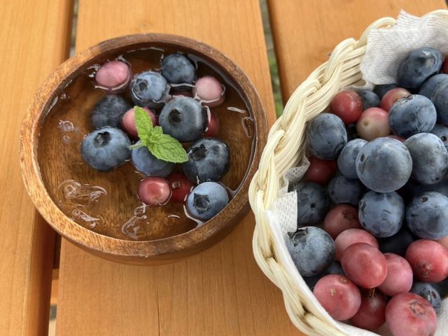 ブルーベリー農園 ふっこりーな
