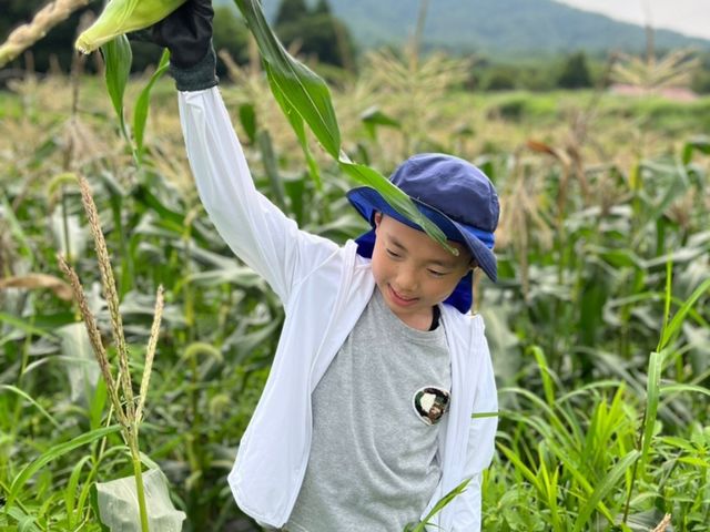 ブルーベリー農園 ふっこりーな