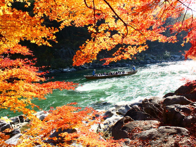 天竜川和船下りの写真1
