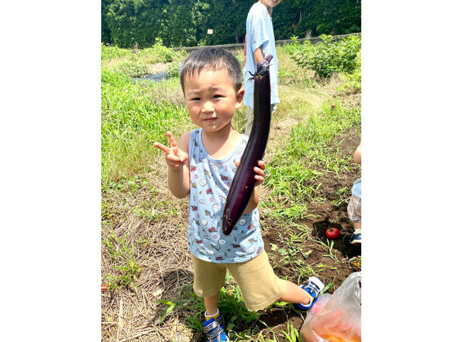 夏野菜収穫体験(トマト・ズッキーニ・ナス・パプリカなど_アクティブ吟風