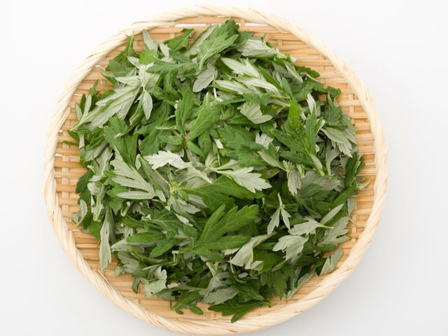 よもぎは古来から薬草として沢山の方を守ってきたものです。先人達の知恵の結集を今、現代女性にはとても必要とされる植物です。よもぎの成分を十分に堪能して下さい。_フォレストサロン