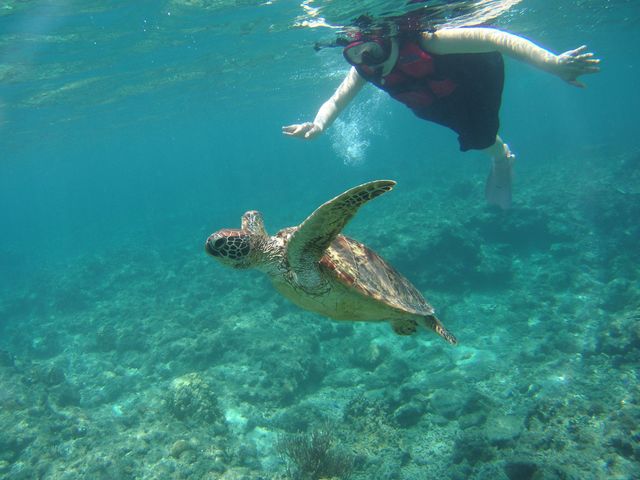 Lagoon315