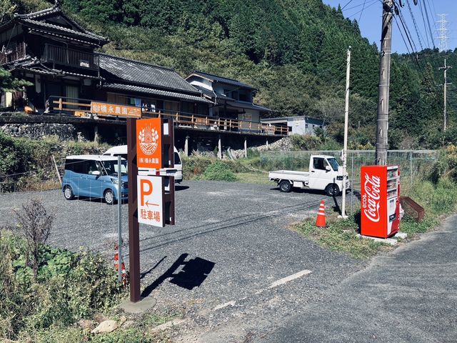 無料駐車場_橋永農園