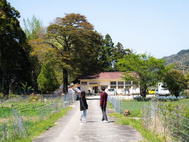 分校Stay haruhi
