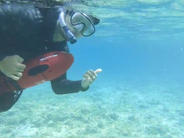 綺麗な海で魚を見ながらシースクーター♪_スマイルフィッシング