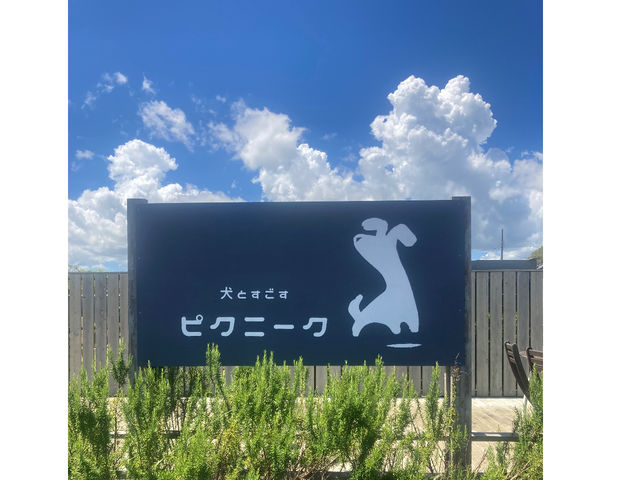 大通り沿いの看板です。_ピクニーク