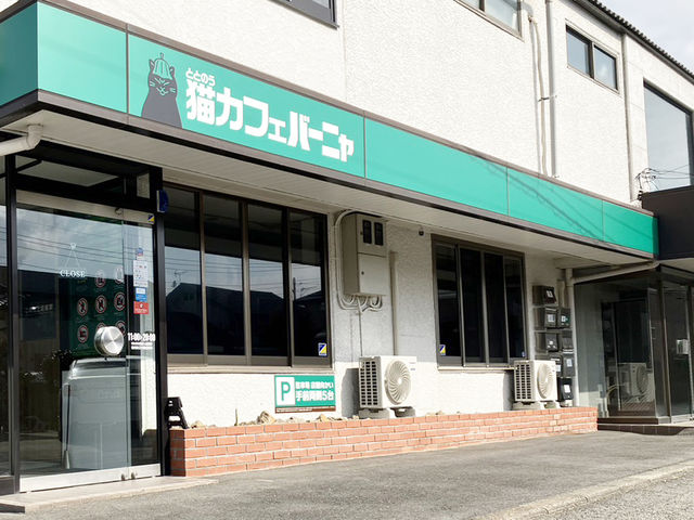 緑の看板が目印です_ととのう猫カフェバーニャ