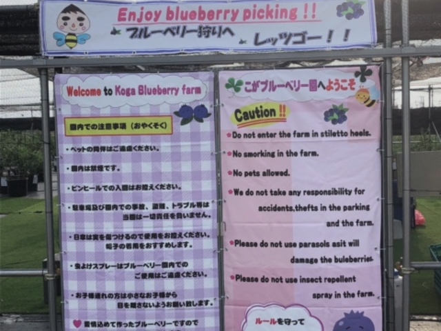 入口 インバウンド対応_こがブルーベリー園