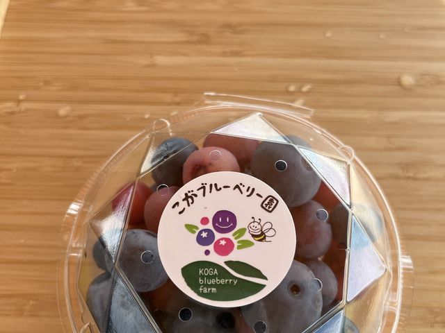 お土産にどうぞ_こがブルーベリー園